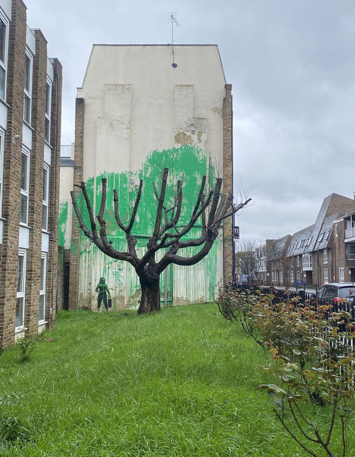 SPRING IS IN THE AIR?    Revealing his latest creation on social media,  the renowned artist shared both pre-and-post images of the mural located in Finsbury Park. The artwork features green spray paint mimicking foliage on a wall behind a pruned tree, with a stencilled figure holding a spray can of sorts nearby.   Residents and Banksy fans have flocked to view the  ew mural, with one local expressing pride in their neighbourhood being chosen as its backdrop. Wanja Sellers, a resident, described feeling a personal connection to the artwork, seeing it as a message directed at the area and borough.   Former Labour leader Jeremy Corbyn also expressed his delight at the mural's appearance in his constituency of Islington North. Acknowledging the necessity of green spaces in densely populated areas, Corbyn welcomed Banksy's contribution.     New Banksy London   GREEN FLAGS    According to James Peak, known for the BBC Radio 4 series The Banksy Story, the mural features a striking contrast of green paint on a white wall, accompanied by Banksy's characteristic stencil style.   The green paint matches that used by Islington Council for local signage, demonstrating Banksy's attention to detail. Peak speculated that Banksy likely employed a pressure hose or fire extinguisher for the creation process due to the dripping effect of the paint on the wall and it’s energetic, rough style which contrasts to the neat figure underneath the faux-blossom.      New Banksy London   The mural, depicting a burst of synthetic greenery, is seen by some as a commentary on the lack of natural spaces in urban environments.   Prior to Banksy confirming his authorship, Islington councillor Flora Williamson expressed excitement about the possibility of having a Banksy artwork in the area.   Islington Council has no plans to remove the mural, recognizing its cultural significance and the artist's intent.   The artwork incorporates a cherry tree in the foreground, estimated to be 40-50 years old and in declining health, prompting the council to ensure its preservation.   Banksy typically confirms his works on social media, and in this case, he posted images of the mural on Instagram without any commentary.   Banksy's identity remains a mystery, despite his global fame, with notable works including Kissing Coppers and the notorious shredded Girl with Balloon. We explore theories about Banksy in our blog “Who is Banksy?”   Incorporating a tree into his latest creation, Banksy has seemingly thwarted attempts at theft, as removing the artwork would also entail removing the tree itself. Prior to this work, Banksy creed a stop sign back in December which was promptly removed and stolen within 25 minutes of first appearing.   For more information on our Banksy original art for sale or to speak to a member of our gallery, contact sales@andipa.com or call +44 (0)20 7581 1244.